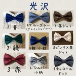 特急オーダー★蝶ネクタイ⑥光沢