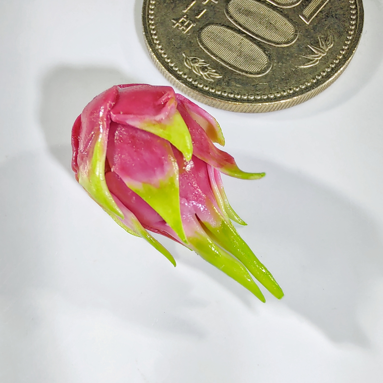 ドラゴン　ミニチュアフード フィギュアの食卓を豊かに!?ミニチュアフードの組立キット「プリプラ