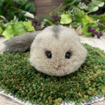 【ゲリラ販売】ほっとペット　ヤマネ