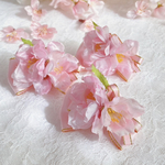 ワンコ用バレッタ♡さくらさくら🌸7cmサイズ