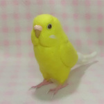 リアルサイズ♪ セキセイインコ ルチノ－（濃赤目）Wool figure Real size　budgie 虎皮鸚鵡 羊毛フィギュア 羊毛フェルト Stuffed wool 鳥のオブジェ リアルバード