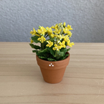 菜の花　1  花鉢