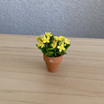 菜の花  8 ちびっこ花鉢　