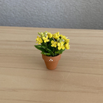 菜の花  9  ちびっこ花鉢　