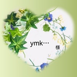 ymk様専用です