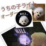 うちの子お散歩ライト(プロジェクターライト)