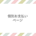 shimlzu様専用