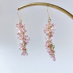零れるように咲く「 しだれ桜 」