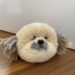犬ぽんぽん　シーズー