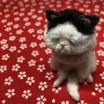月曜日が憂鬱な猫