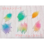 スケルトンリーフ　10枚☆グラデーション加工