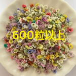 ★訳あり★600粒以上かすみ草