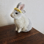 しろ様オーダーページ🐰💐