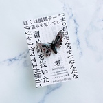 少年の過ち　(少年の日の思い出より）