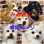 大きいうちの子オーダー