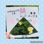 【春の風船壁面♡】卒園・進級・春の訪れ♪