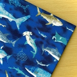 50*50【シーチング】サメの仲間たち／ブルー《 生地 シーチング生地 コットン 綿 サメ 鮫 シャーク 魚 男の子 青 COTTONCANDY 薄手 》