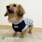 再販🐶犬服【ドット🔵×デニムニット👖タンク】