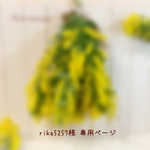 ༜ rika5257様 専用ページ༜