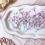 【押し花素材】かすみ草　桜色　着色　　pressed flowers