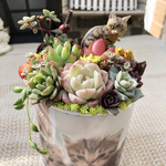 【送料無料】可愛い♡猫さんの日向ぼっこ♪子猫缶　多肉植物寄せ植え　ギフトにも♡