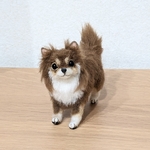 羊毛フェルト　チワワ　チョコタン