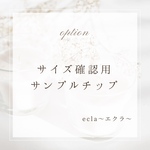 サイズ確認用ネイルチップ