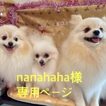 nanahaha様 専用ページ