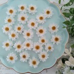 ドライフラワー素材475　小さめ花かんざし20輪のセット　お花のみ　茎なし