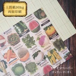 デザインペーパー　seed package 【野菜】