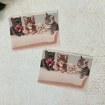 ☆新作☆オリジナルバラメモ Cats