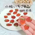 押しフルーツ 小粒いちごB品　40枚前後