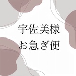 ⚠️お急ぎ便ご希望の専用ページとなっておりますのでご注意ください