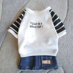 犬服！Msize！スター&ボーダー　デニムスカート
