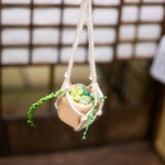 多肉植物寄せ植え（ハンキング仕立て）　①　ミニチュア