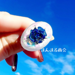 【ブルーベリー姫】ホワイトウッズ／ブルー／青／薔薇／ドライフラワー／ホログラム／フリーサイズ／オーバル／花／リング