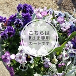 Rさま専用カート　