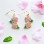 ✨再販2✨京都オパールの2輪桜ピアス／イヤリング