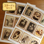コラージュペーパー　cats　ノーカット