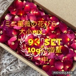 大特価！大容量！！★ミニ薔薇の花びら9gセット（大小mix）ドライフラワー★ミニバラ 花弁★レジン加工でアクセサリー★ハンドメイド素材　花材★結婚式などのイベントのフラワーシャワーにも♡