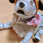 （手織り）シースルーの春のジャケットとピンクのパーカーブラウス