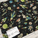 送料無料。宇宙約30×40☆ランチョンマット
