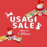 【1,200円SALE】ご挨拶ちびうさ🐇限定2体