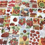 (再販×2)いちごのヴィンテージ広告🍓ジャーナルペーパーセット＊コラージュ素材＊ジャンクジャーナル