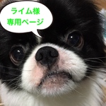 ライム様専用ページです