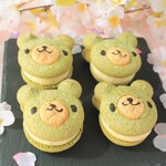 【桜】くまちゃんの桜クリーム抹茶ブッセ（6個入り）