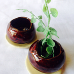 小さな植木鉢と受け皿セット＊飴色