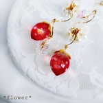 いちご🍓スノードーム　フックピアス(K18金メッキ加工)　イヤリング(K18金メッキ加工)への変更可能