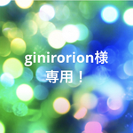 専用ページ