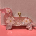 桜ダックスちゃん